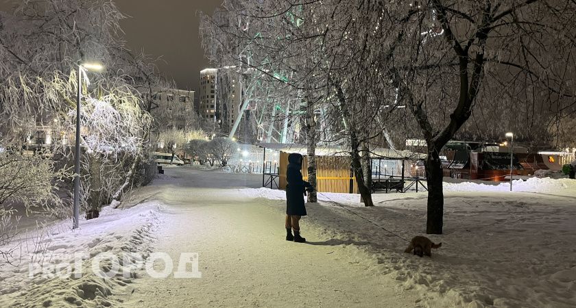 16 декабря волгоградцев ждет морозная ночь и гололедица
