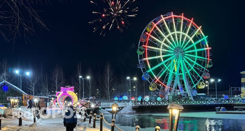 Волгоградцам запретили салюты и фейерверки в новогодние праздники