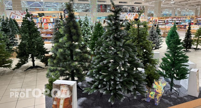 В Волжском заработали 13 елочных базаров 