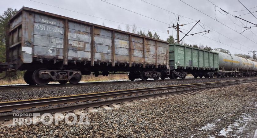 Волгоградцы экспортировали в Казахстан больше 200 тонн моркови