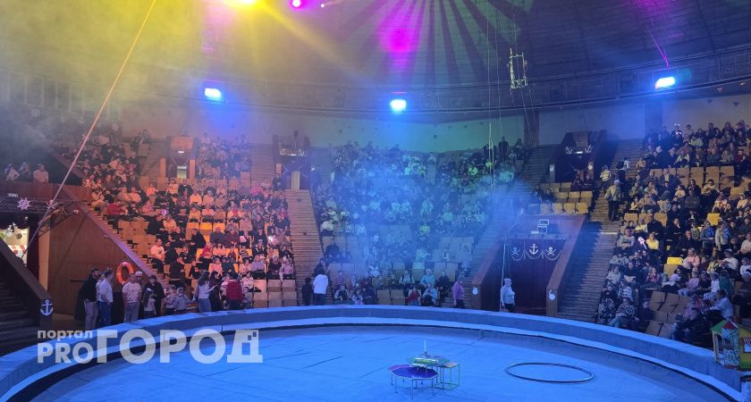 В обновленном цирке Волгограда стремительно раскупают места на новогоднее шоу