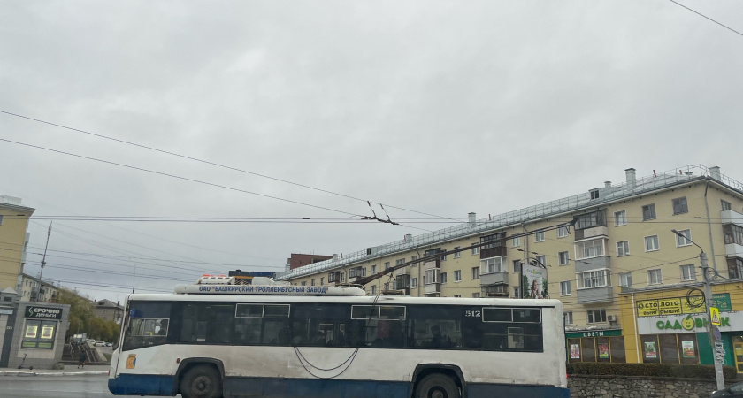 В Волгограде продлят работу трамваев и троллейбусов в новогоднюю ночь 