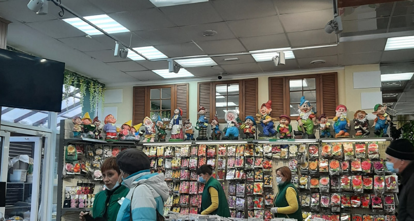 Беру только такие и превращаю дачу в райский сад: 13 восхитительных многолетников - цветут до октября