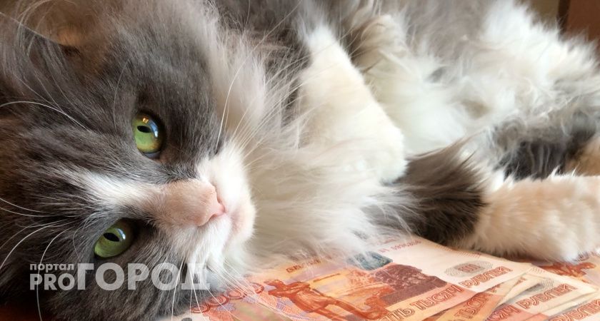 Росстат назвал новую среднюю зарплату в Волгоградской области