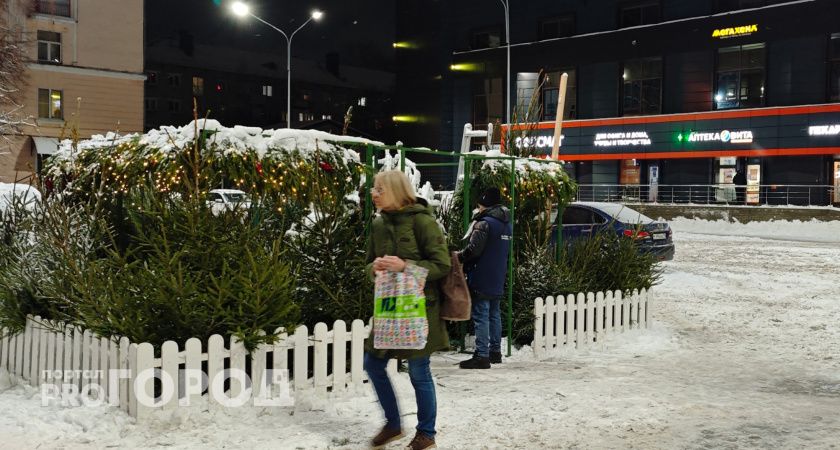 В последний день 2025 года в Волгоградской области будет ветренно и скользко