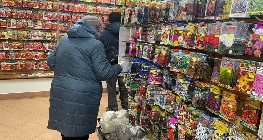 Эти семена сладких помидоров дачники сметают уже в январе: 7 медово-сахарных сортов 