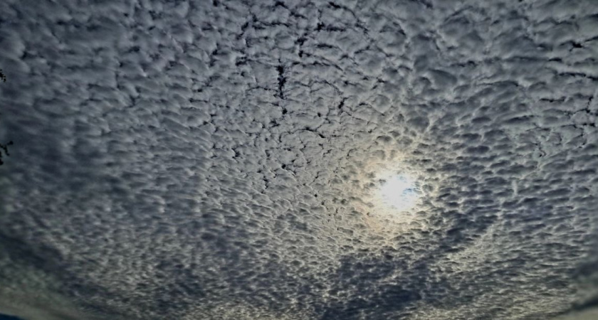 В Волгограде 2 января будет морозно и облачно