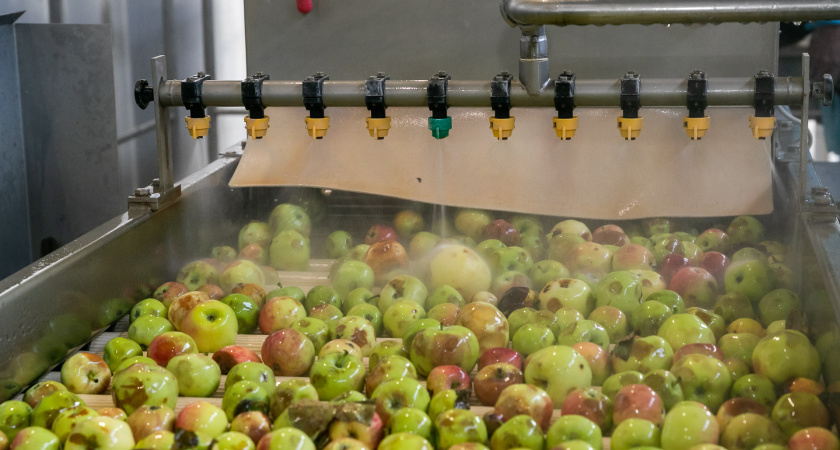 Волгоградские аграрии собрали рекордный урожай плодов и ягод