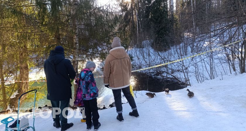 Матерям-героиням в Волгоградской области установили новые льготы