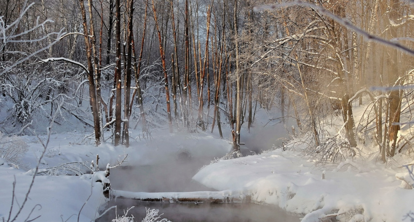 8 января Волгоград ждёт морозный и снежный день