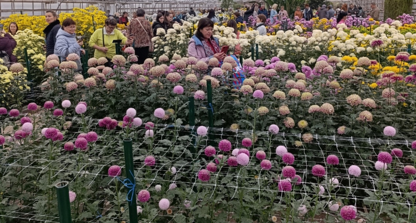 Волгоградский ботанический сад принял рекордные 43 тысячи посетителей в 2025 году