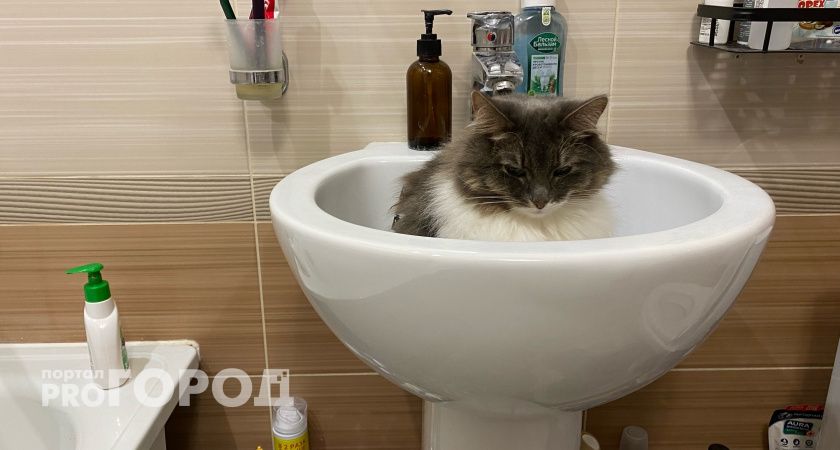 Из-за прорыва трубы на 39-й Гвардейской десятки домов встретили Старый Новый год без воды