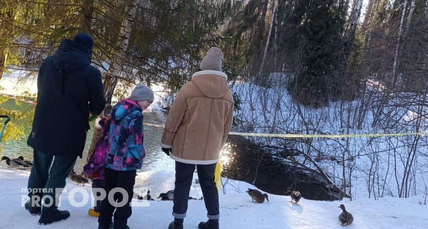 Волгоградским мамам и папам увеличат пенсию