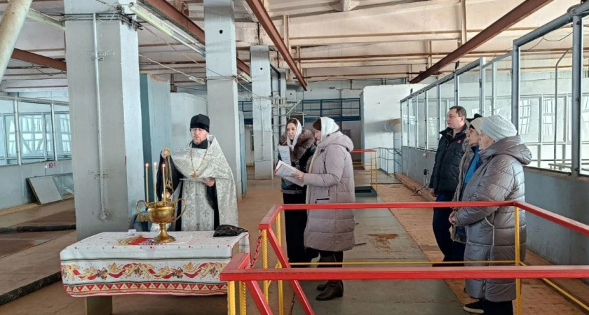 Жители Камышина получили святую воду в кранах