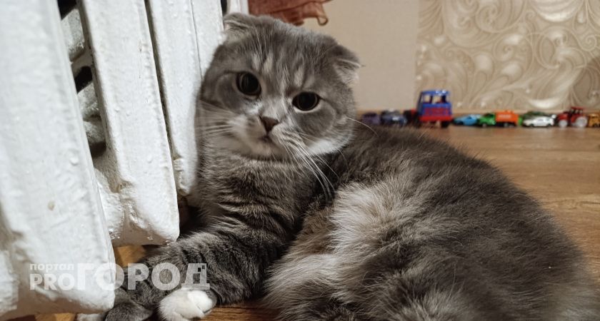 Коммунальщики за ночь вернули воду и тепло  в Советском районе Волгограда 