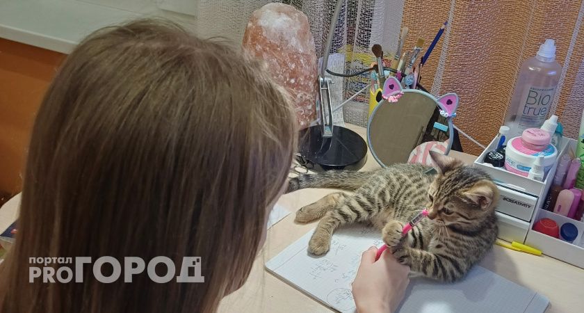 В Рособрнадзоре волгоградцам назвали минимальные пороги для сдачи ЕГЭ-2026