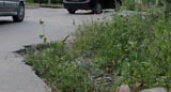 «Дорожный патруль» добрался до Дзержинского района