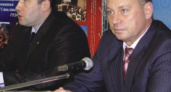 Волков и медведи