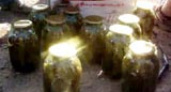 Во Фролово завозили героин в огурцах. ВИДЕО