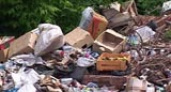 Волгоградские блогеры отчистили берег Волги возле Панорамы