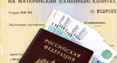 Справороссы защищают материнский капитал от мошенников
