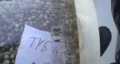 Задержаны преступники, торговавшие наркотиками по всему региону