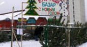 В Волгограде открываются елочные базары