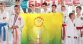 В Волжском стартовал Открытый турнир по каратэ WSKU