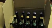 Двое волгоградцев похитили 1300 бутылок пива и 1260 выпили