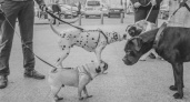 В Волгограде с лекцией выступит  канадско-российский фотограф Никита Ступин