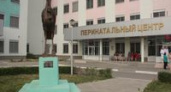 Первые четверняшки родились в Волгоградском областном перинатальном центре