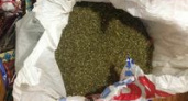 В Волгограде охранник торговал марихуаной по-крупному