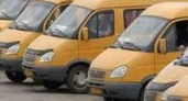 Волгоградские перевозчики отбились от натиска чиновников