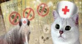 Ученые назвали пять животных, способных лечить людей
