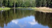 Волгоградская область получит почти миллиард рублей на защиту водоемов