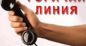 В Волгограде начнет работу «горячая линия» по санкционным продуктам