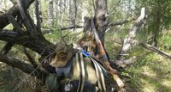На двадцати территориях Волгоградской области открывается охота