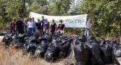 Волгоградские экологи собрали в лесу 110 мешков мусора