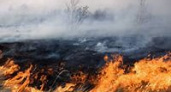В Волгоградской области за сутки произошло 20 техногенных пожаров