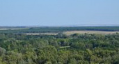 В Волгоградской области запретили охоту