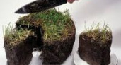 Волгоградские чиновники сдают землю за копейки