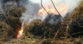 Под Волгоградом сгорело три тонны сена