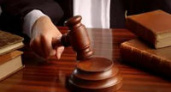 В Волгограде суд вернул в федеральную собственность 1,5 тысяч сосен