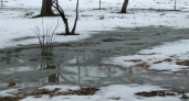 В Волгограде снова ожидается оттепель