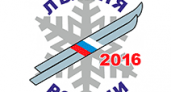 Жители Волгоградской области выйдут на «Лыжню России-2016»