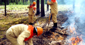 В лесах волгоградского региона начинается период пожароопасного сезона