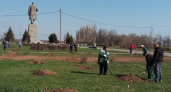На юге Волгограда прошел общегородской субботник
