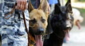 День кинологических подразделений МВД России 