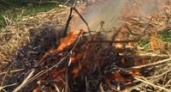 Под Волгоградом неизвестные подожгли 10 тонн сена
