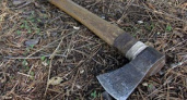 В Волгоградской области племянник ударил топором 61-летнего дядю